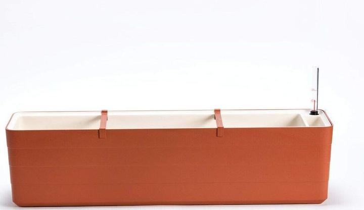 Actual product image Plastia Berberis (20 x 59 x 19.70 cm)