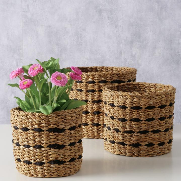 Produktbild Boltze Home Bokar (3 x)