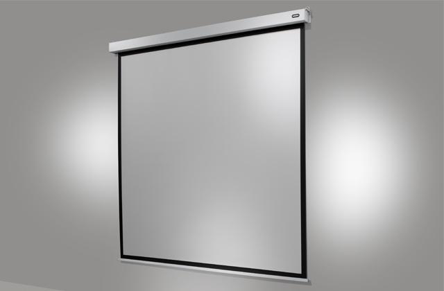 Produktbild Celexon Motor Professional Plus (167", 1:1)