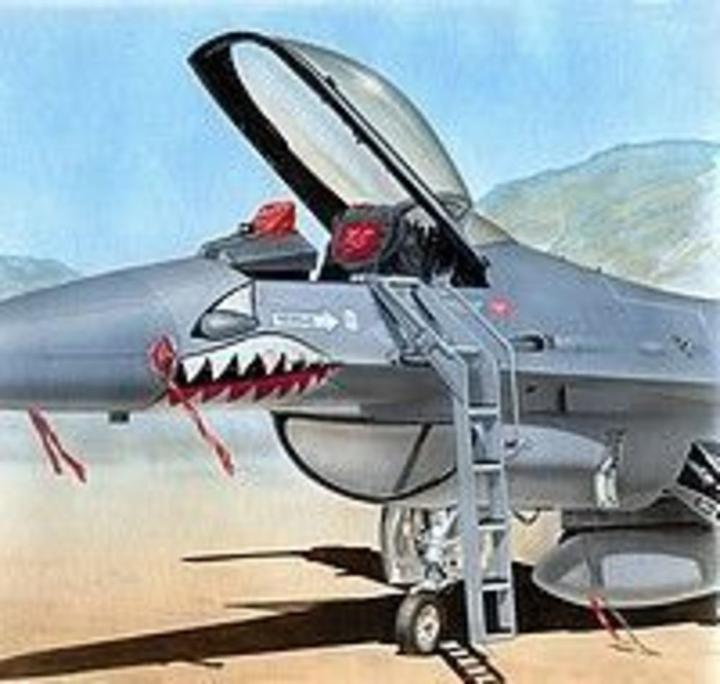 Plus Model Ladder F-16