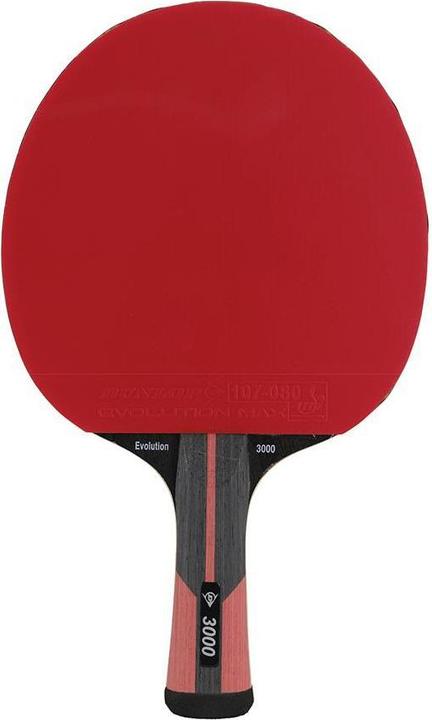 Actual product image Dunlop Evolution 3000