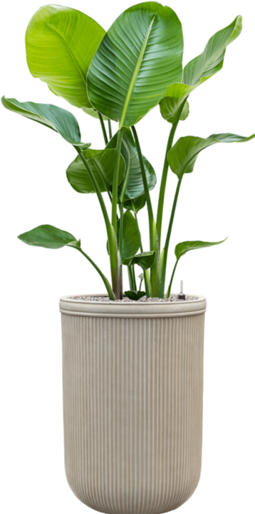 Produktbild Baq Design Vertical Rib