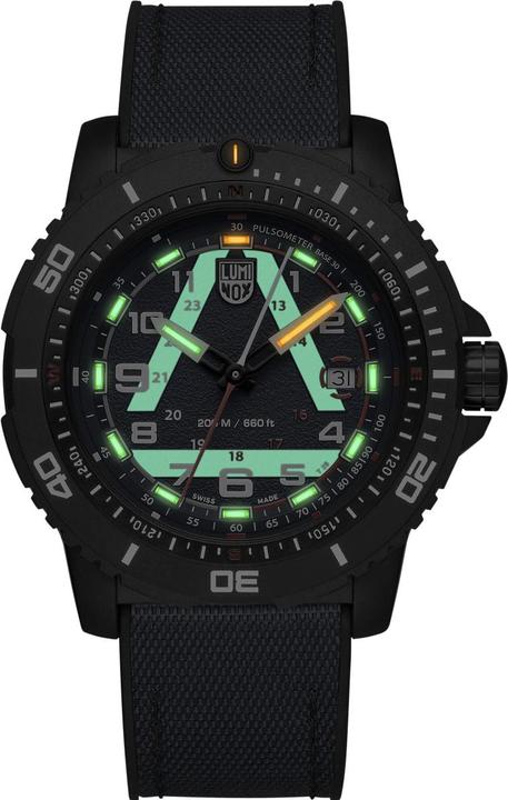 Image du produit Luminox ICE SAR 1080 SERIES (Montre analogique, Swiss Made, 45 mm)
