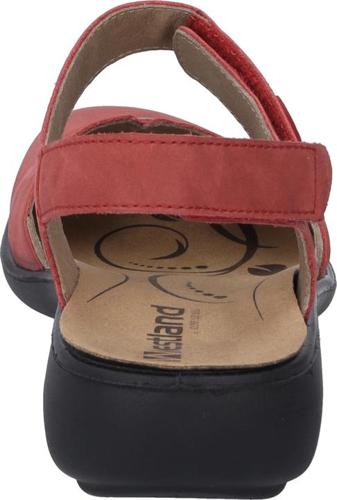 Produktbild Westland 16777-97 (37)