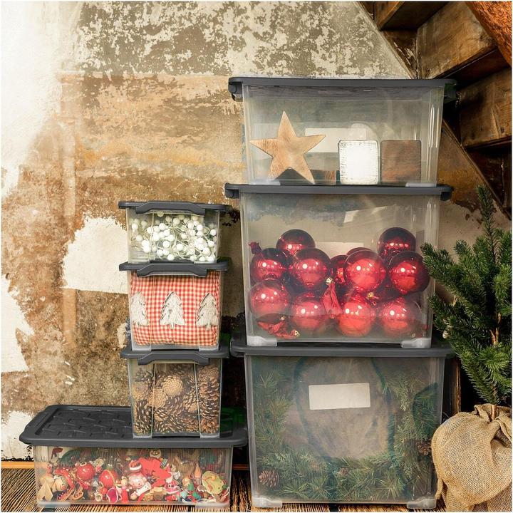 Actual product image Rotho Storage box Evo Safe (39.5 x 23 x 28.5 cm, 15 l)