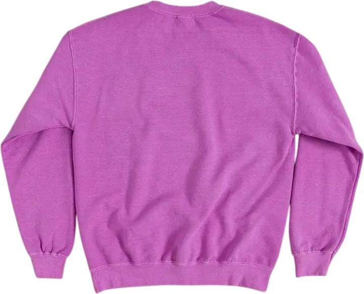 Produktbild Sweatshirt Logo VintageWaschung (L)