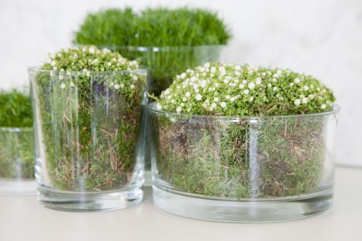 Produktbild B Living Ross (15 x 8 cm)