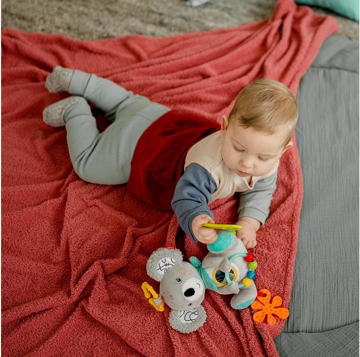 Actual product image Fehn Activity Koala