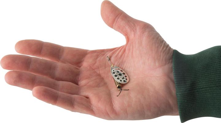 Immagine prodotto Caperlan Spinner per pesci predatori