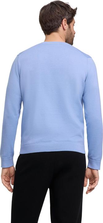 Image du produit Falke FAV Cotton V-Neck m (XXL)