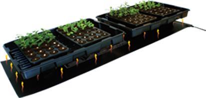 Actual product image Root!t ROOTiT Heizmatte 40x120cm - 60 Watt