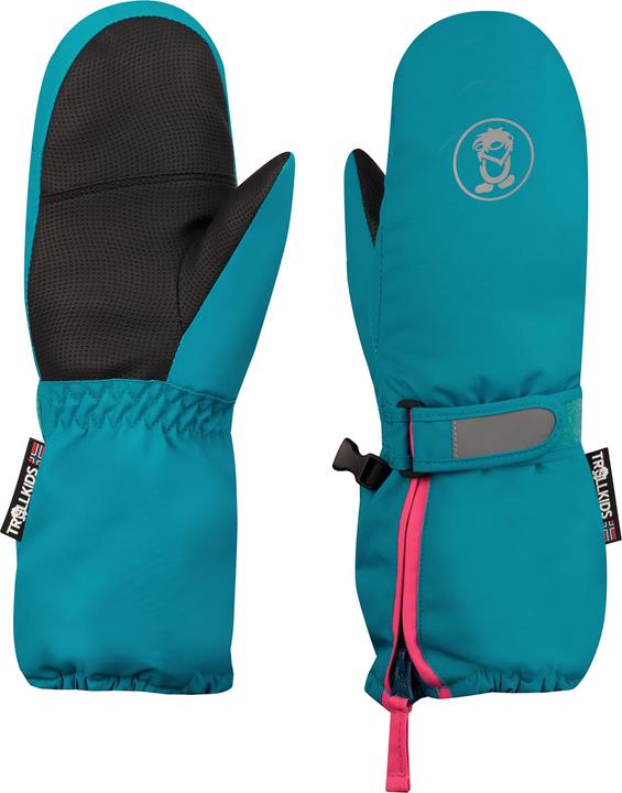 Light Magenta, Dark Turquoise