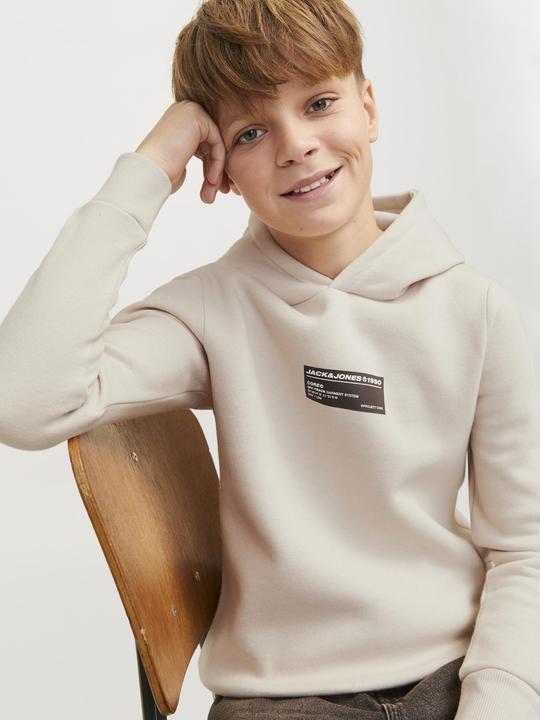 Produktbild Jack & Jones Gedruckt Kapuzenpullover Junior Kapuzenpullover (176)