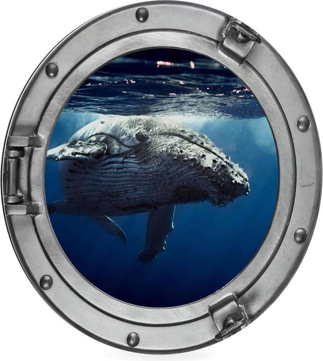 Immagine prodotto Trenddeko Oblò in 3D - Megattera in immersione (Ø 20 cm)