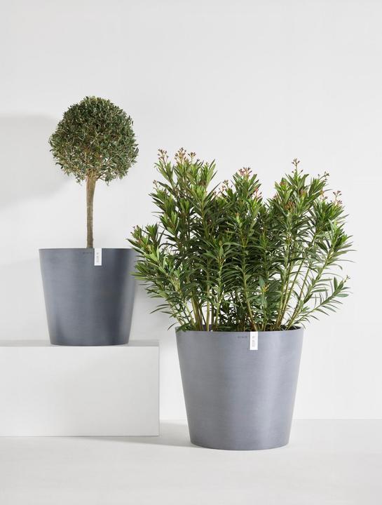 Actual product image Ecopots Amsterdam Wheels (60 cm)