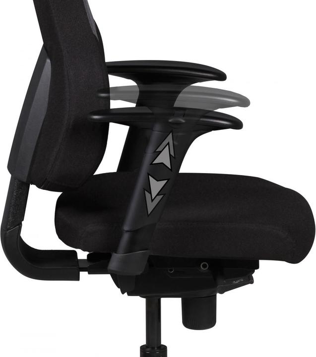 Produktbild Amstyle Qentin (45 - 57 cm)