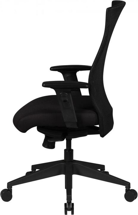 Image du produit Amstyle David
