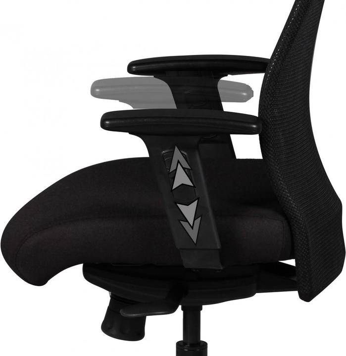 Image du produit Amstyle David