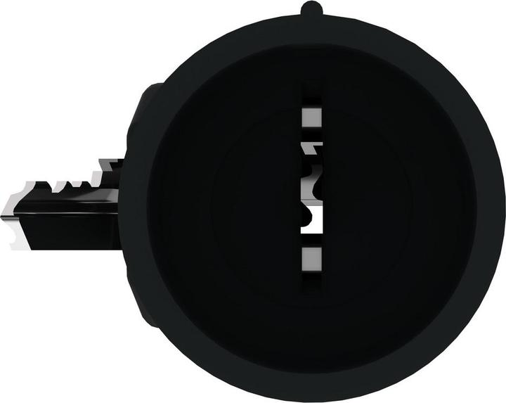 Actual product image Schneider Electric Spare key for key switch, ZBG455P