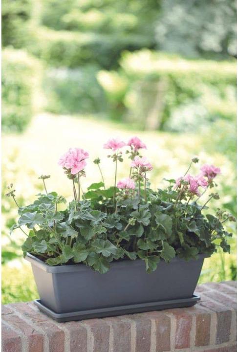 Produktbild Elho Barcelona XL (19.50 cm)