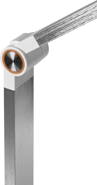 Image du produit Beliani Caroy (490 lm)