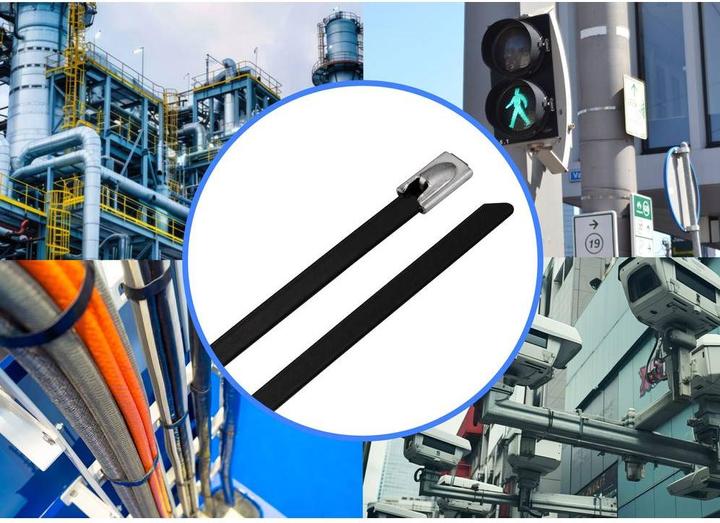 Produktbild Tru Components TC-12656544 Stahlkabelbinder 290 mm 4.6 mm AISI 304 mit Beschich (Kunststoffkabelbinder, 290 mm, 100 Stk.)