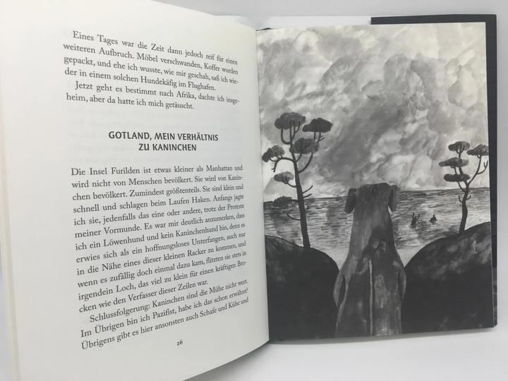 Produktbild Nortons philosophische Memoiren (Deutsch, Håkan Nesser, Paul Berf, 2018)