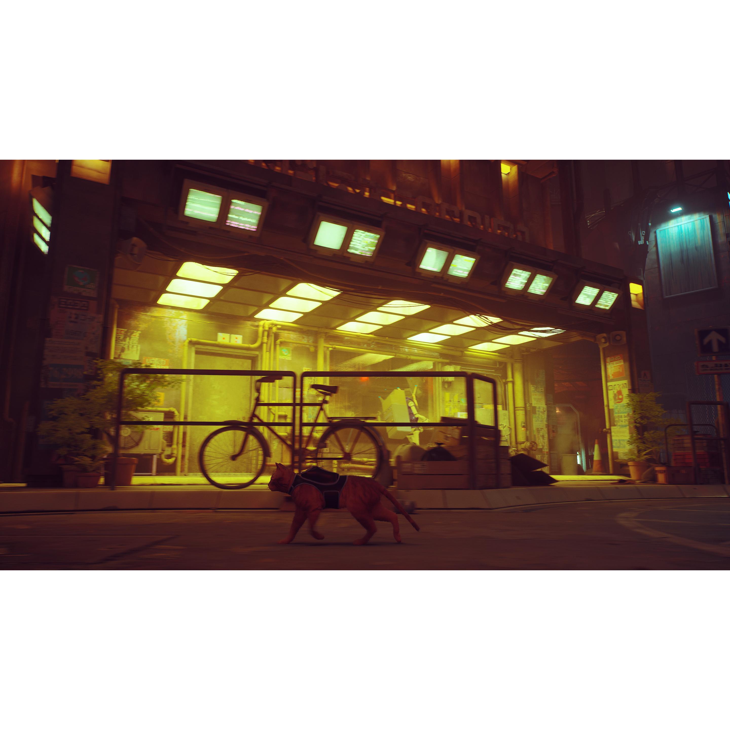 Thumbnail - Annapurna Interactive, Stray