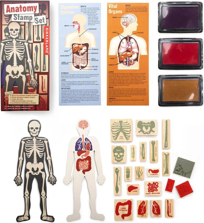 Image du produit Kikkerland Tampons anatomiques