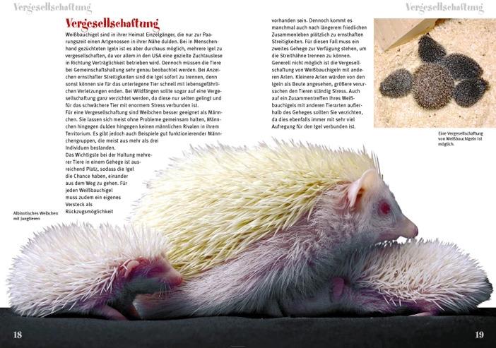 Immagine prodotto Weissbauchigel (Tedesco, Daniela Guist, 2014)