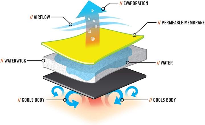 Immagine prodotto Ergodyne Kühlweste (L)