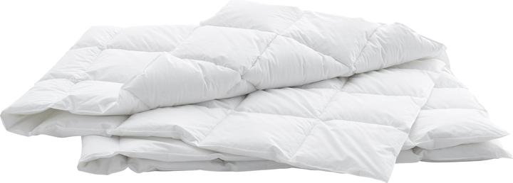 Image du produit Swiss Dream by billerbeck Caro Basic 90 (610 g, 200 x 210 cm)