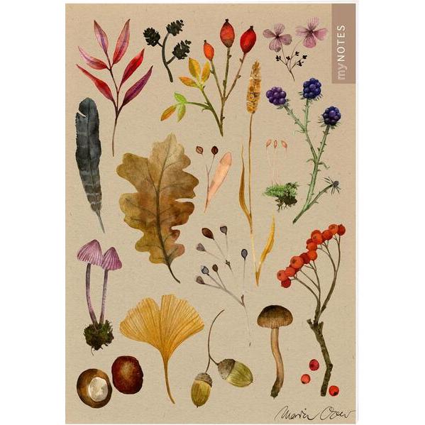 Ars Edition, Heft + Block, Notizheft Naturschätze Herbstblätter (A5, Liniert, Harter Einband)