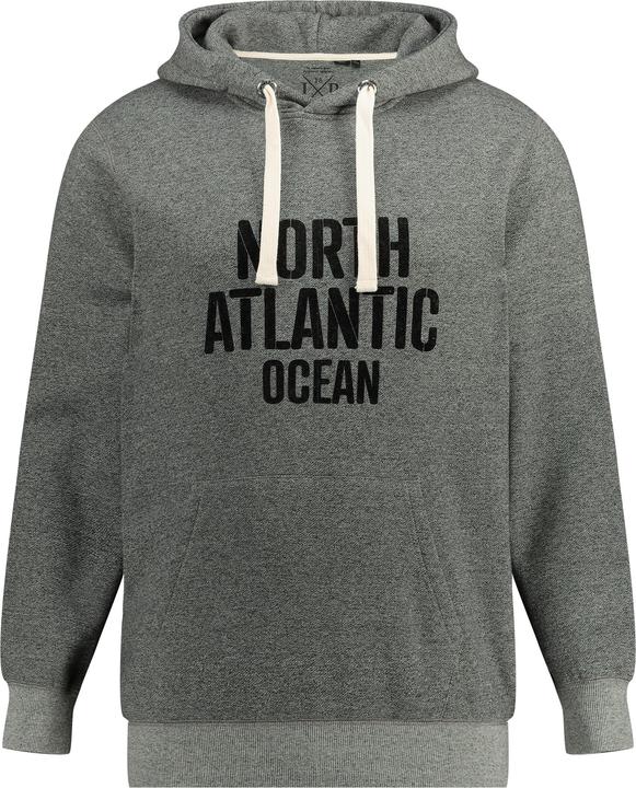 Actual product image JP1880 Hoodie FLEXNAMIC®, hood, chest print, up to 8 XL (3XL)