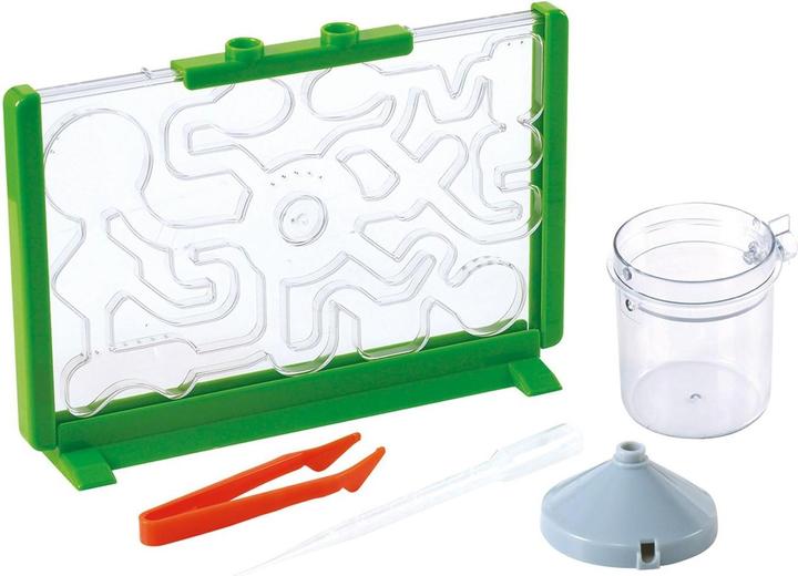 Actual product image Happy Summer Ant farm