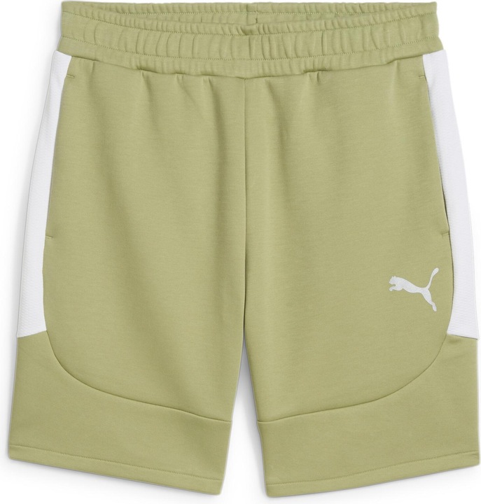 Actual product image Puma teamEVOSTRIPE Shorts (XL)