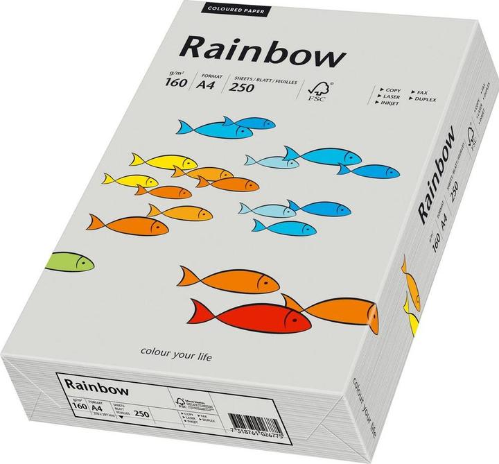 Image du produit Papyrus Papier multifonctions Rainbow, A4, 160 g/qm, gris vierge, sans bois, résistant au vieillissement (A4, 250 feuilles, 160 g/m²)