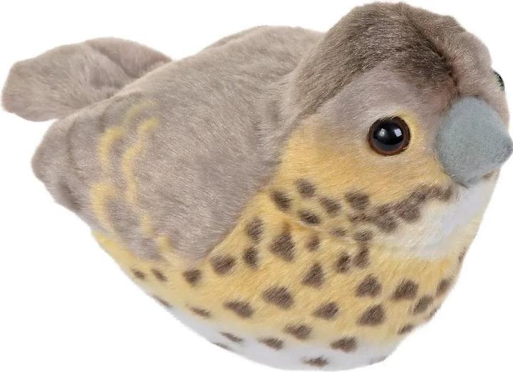 Produktbild Wild Republic Singdrossel mit Vogelrufen