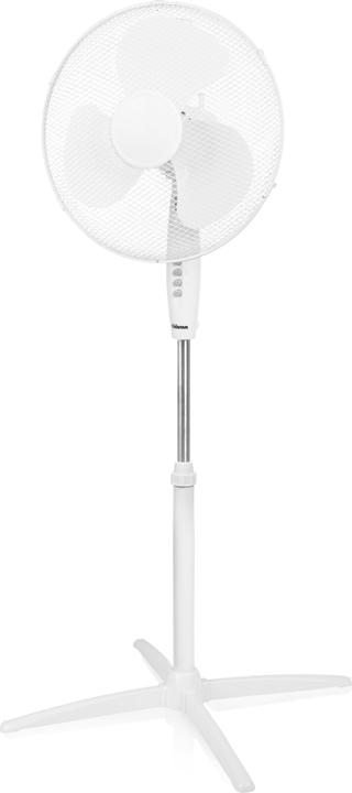 Actual product image Tristar Ve-5893 (56.60 dB)
