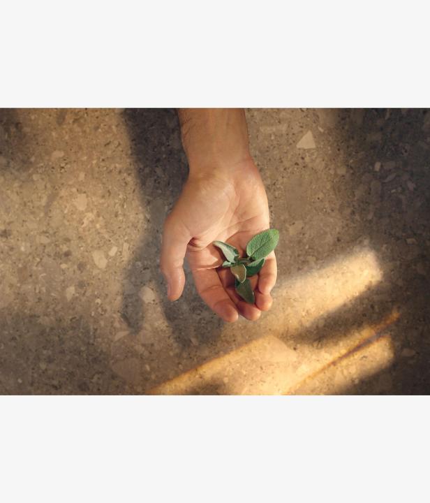 Actual product image Acqua Di Parma Colonia Futura (Eau de cologne, 50 ml)