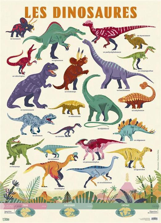 Actual product image Les dinosaures (Molas Charlotte, French)