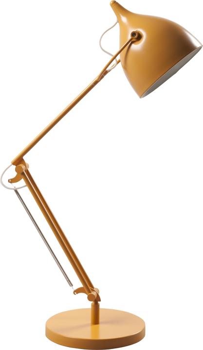 Zuiver Lecteur (E27)