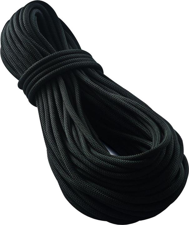 Produktbild Tendon Smart 10.0 Kletterseil schwarz (40 m)