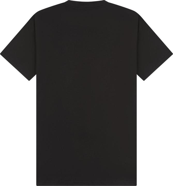 Actual product image Casual Classics Unisex Adult Combed Ringspun Cotton Extended Neckline Tall Oversized T-Shirt (L)