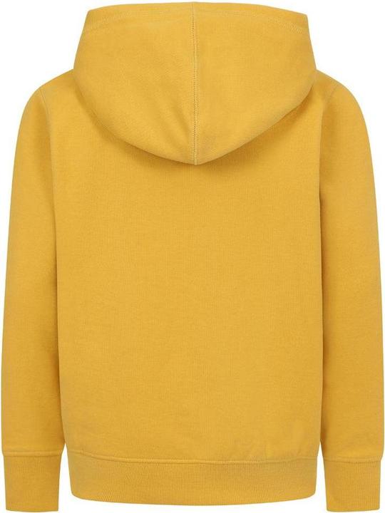 Actual product image Lazy Jacks Childrens/Kids Established Hoodie (128)