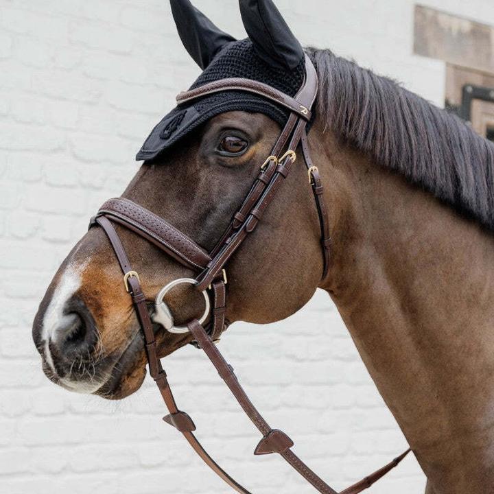 Image du produit Dy'on Bridon équitation anatomique muserolle combinée tressé avec Pull