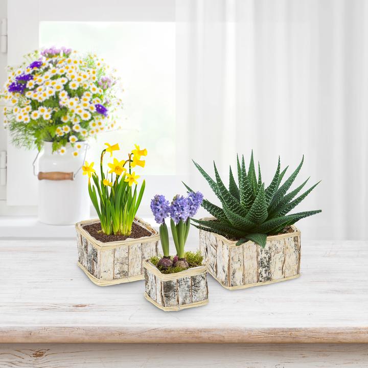 Produktbild Relaxdays 3x Blumentopf (22.50 cm)