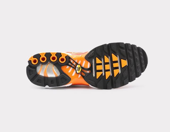 Image du produit Nike Air Max Plus (41)