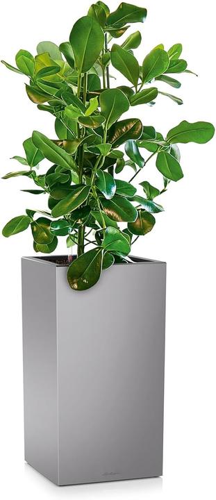 Produktbild Lechuza CANTO Premium 40 metallic (40 x 40 x 75 cm)