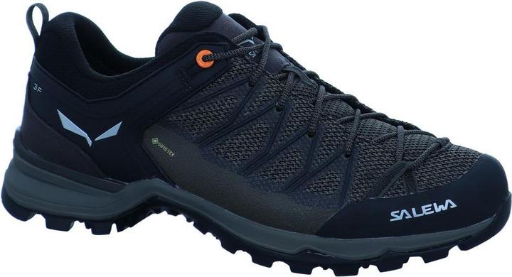 Produktbild Salewa Mountain Trainer Lite GORE-TEX (44.5)